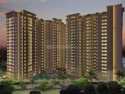 Chordias Terraza Greens,Mansarovar 3 BHK Apartment For...