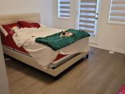 Christie Has a Townhouse