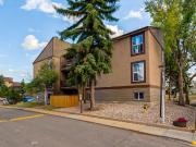 Christopher County 1 Bedroom Apartment for Rent at 1102...