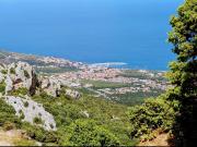 Ci troviamo nella splendida cornice di Cala Gonone nel...