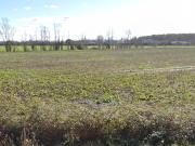 Ciadoux Vente Terrain 31