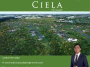 CIELA PRESELLING CORNER LOT IN CARMONA CAVITE RIDGESIDE...