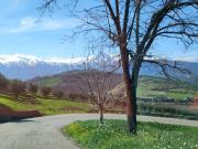 CIELO TERRA in vendita a Basciano