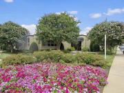 Cinnamon Run/Peppertree Farm Cambridge Cinnamon Run