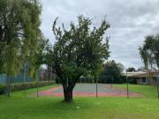 Ciprés, ¡Oportunidad! Terreno en Residencial Colón
