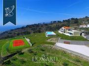 Cipressa Imperia 96317248