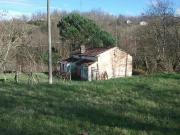 Circonvallazione Dante Alighieri quadrilocale 70mq