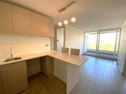 CIRUJANO VIDELA / METRO MONSEÑOR EYZAGUIRRE