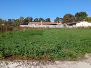 Cissac Médoc Vente Terrain 33