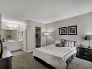 Citrus Apartments Tangerine 1 Bedroom
