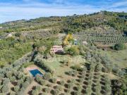 Città della Pieve Perugia 96333283