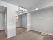 City Commuter's Dream Sun Drenched Studio!