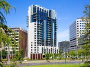 City Commuter's Dream Sun Drenched Studio!