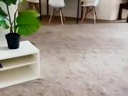 City Ultimo/ Pyrmont, Sydney