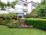 CLAIRMONT APTS. Studio [object Promise] for Rent