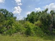 Claremont Dr, Port Charlotte, Plot For Sale