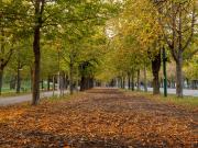 Classic Landstraße 1BR w/ Pool & DM, nr U3 Erdberg,...