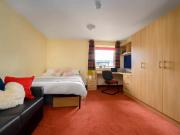 Classic Studio Single Occupancy E Has an Apartment