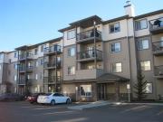 Clean, Quiet, Spacious Yet Cozy West End Callingwood...