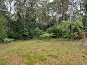 Cleared and ready to go!