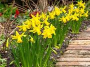 Cliftonville, 60 Monkstown Road, Monkstown, Co. Dublin...