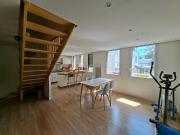 Clisson Vente Appartement 44