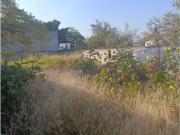 CLMC TERRENO LAS FINCAS $3,500,000