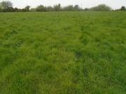 Clogrenane Carlow Co Laois, Killeshin, Co. Laois is for sale