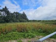 Cloonmore Lower, Ballyfarna, Claremorris, Mayo Walsh...