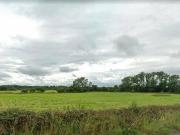 Cloughnadromin Ballysimon Co Limerick