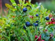 Club de Golf Valle Escondido, Vendo Joya arquitectónica...