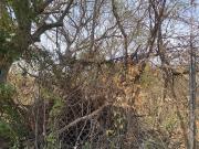 CMM TERRENO EN BRISAS $2.350.000