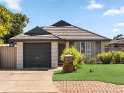 Coastal Living Framed by Leafy Reserve Views
