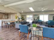 Coastline Apartments 1 Bedroom Apartment for Rent at 631...