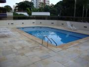 cobertura á venda e para aluguel em Cambuí