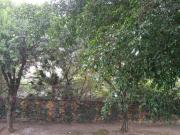 Cobertura à venda em Santo André SP, bairro Parque...