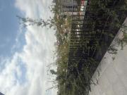 Cobertura à venda em Vila Ipojuca com 143 m², 2 quartos,...