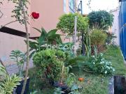 Cobertura com 2 Quartos e 2 banheiros à Venda, 70 m² por...