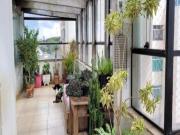 Cobertura com 3 quartos à venda em Barro Branco zona...