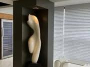 Cobertura com 4 dormitórios, 310 m² venda por R$...