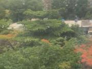 COBERTURA DE ALTÍSSIMO PADRÃO COM ARMÁRIO LINDO IMÓVEL...