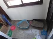 Cobertura Duplex para Locação em São Paulo, Vila...
