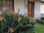 Cobertura em Rua Dona Adda Mascarenhas de Moraes Jardim...