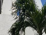 Cobertura para Locação em Recife/PE Boa Viagem 2 Quartos