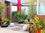 Cobertura para Locação em Santo André/SP Jardim 3 Quartos