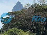 Cobertura para Venda em Rio de Janeiro/RJ Botafogo 4 Quartos