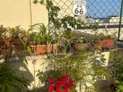 Cobertura para Venda em Rio de Janeiro/RJ Ipanema 2 Quartos