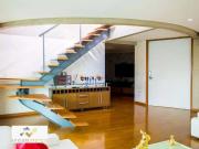 Cobertura para Venda em Santo André/SP Jardim 5 Quartos