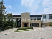 Cocoteros en Rancho San Juan