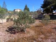 Cod 0243 Terreno recintato 2700 mq Misilmeri